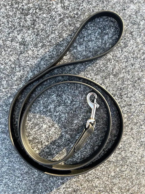 Biothane Leash