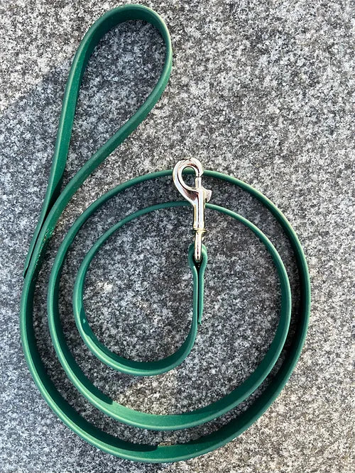 Biothane Leash