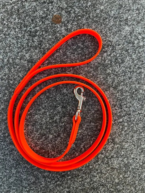Biothane Leash