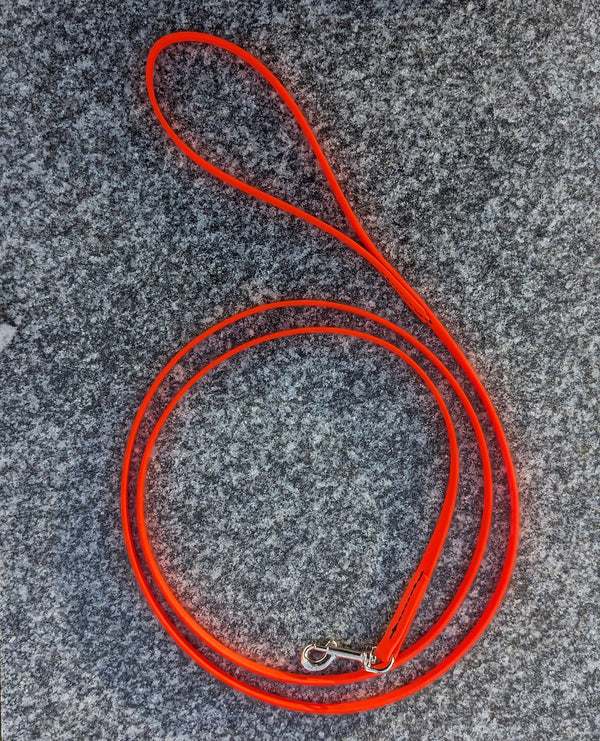 Biothane Leash