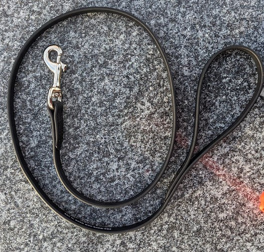 Biothane Leash