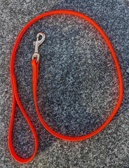 Biothane Leash