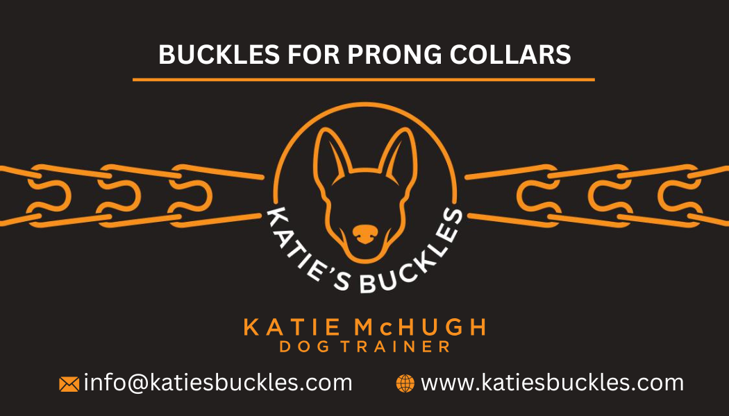 Katie's Buckles Care Card